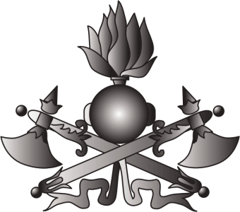 formation insignia