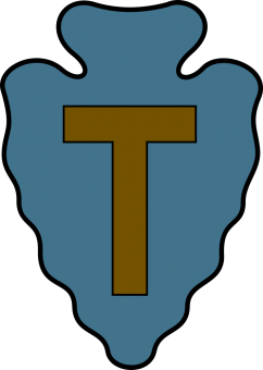 formation insignia