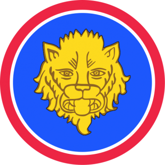 formation insignia