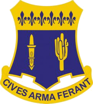 formation insignia