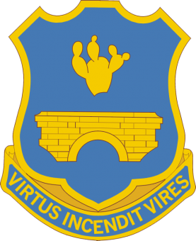 formation insignia