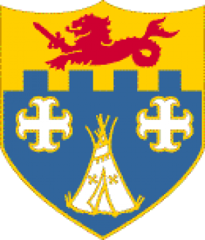 formation insignia