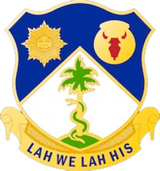 formation insignia