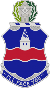 formation insignia
