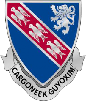 formation insignia