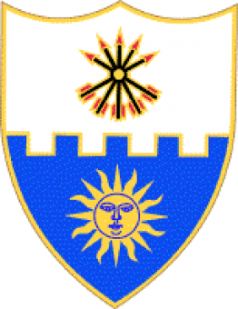 formation insignia