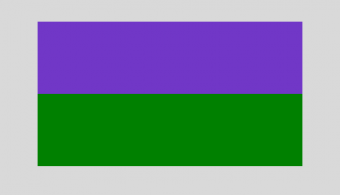 formation insignia