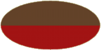 formation insignia