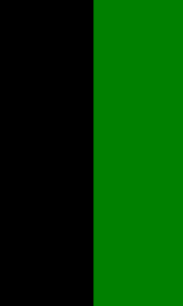 formation insignia