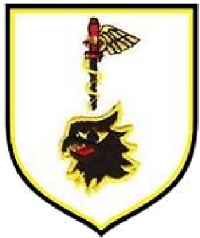 formation insignia
