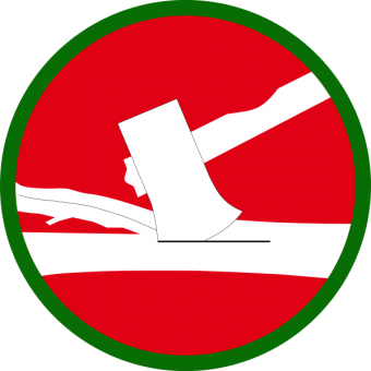 formation insignia