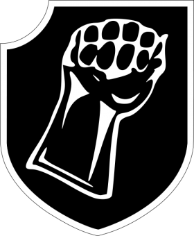 formation insignia