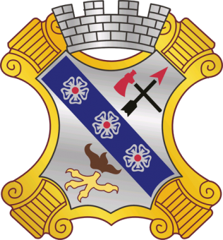 formation insignia