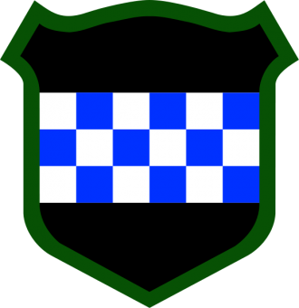 formation insignia
