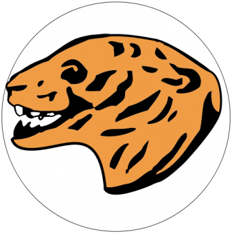 formation insignia