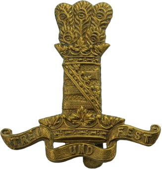 formation insignia
