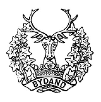 formation insignia