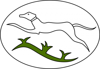 formation insignia