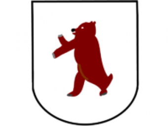 formation insignia