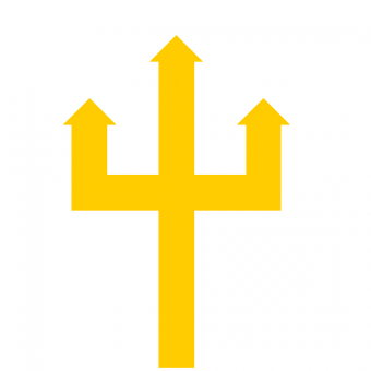 formation insignia
