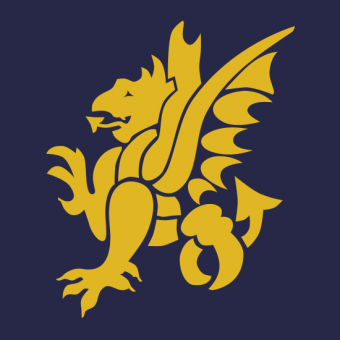 formation insignia
