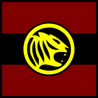 formation insignia