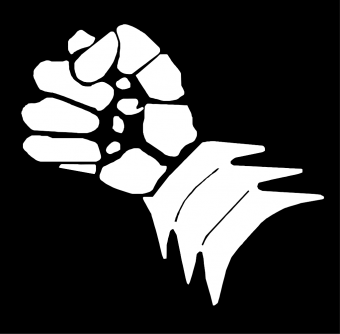 formation insignia