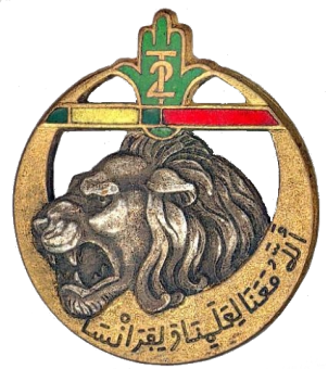 formation insignia