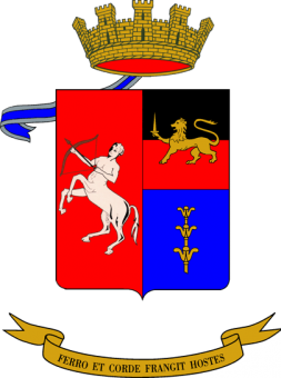 formation insignia