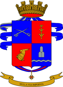 formation insignia
