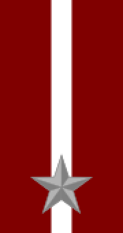 formation insignia