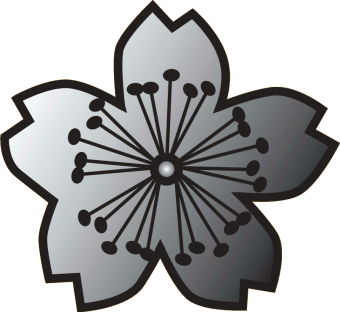 formation insignia