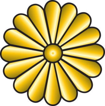formation insignia
