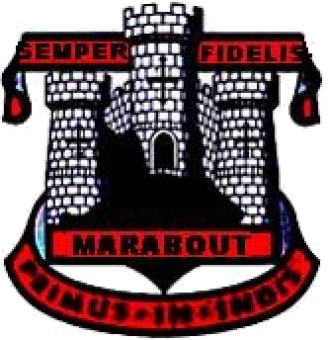 formation insignia