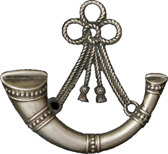 formation insignia