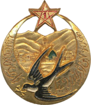 formation insignia