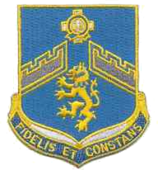 formation insignia