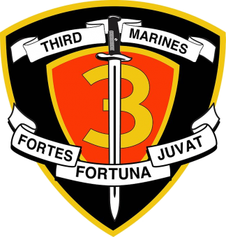 formation insignia