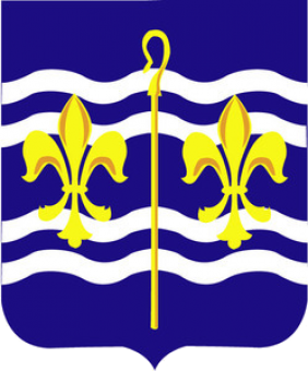formation insignia