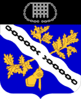 formation insignia