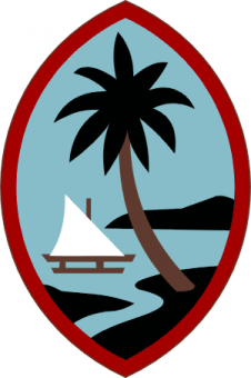 formation insignia