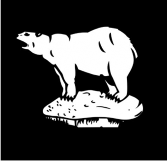 formation insignia