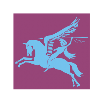 formation insignia