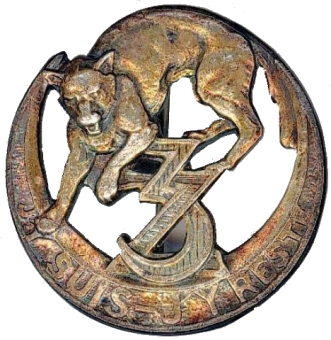 formation insignia