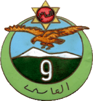 formation insignia