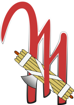formation insignia