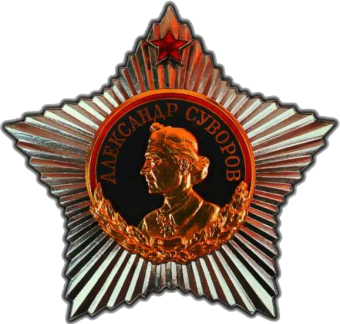 formation insignia