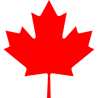 formation insignia