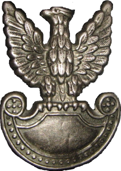 formation insignia