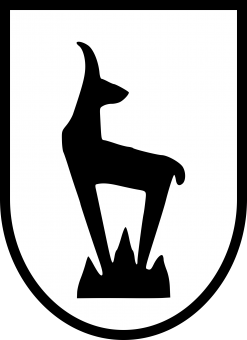 formation insignia